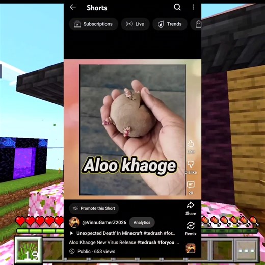 Aloo Virus World Recod