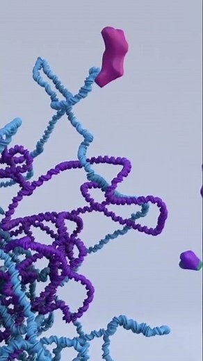 Are mutations good or bad? #genetics #animation #geneticdiversity #facts #biology #mutation