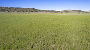 Yellowstone County, MT Land for Sale, Land for Sale in Yellowstone County, MT, Land for Sale Near Me in Yellowstone County, MT, 573 Properties for Sale | LandWatch