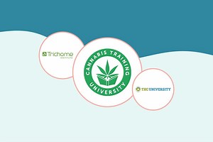 The best online schools and courses for budtenders