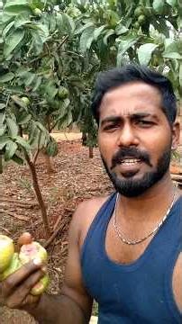 Fragmented biodiversity...💚