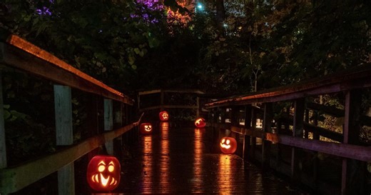 Great Pumpkin Trail returns to Royal Botanical Gardens