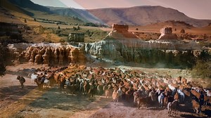 14K views · 223 reactions | The Boran Cattle Breeders’ Society of...