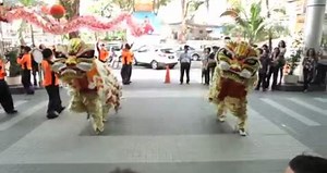 The Tiger Chinese New Year