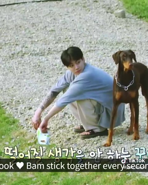 Jungkook and Bam: BTS's Cute Dog Moments