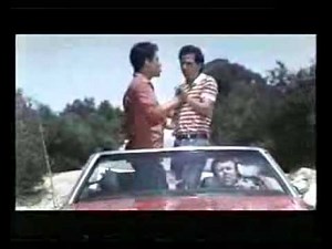 Lemon Popsicle 7 Young Love (Cannon Films)