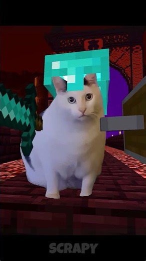 This is Sparta...Meow!