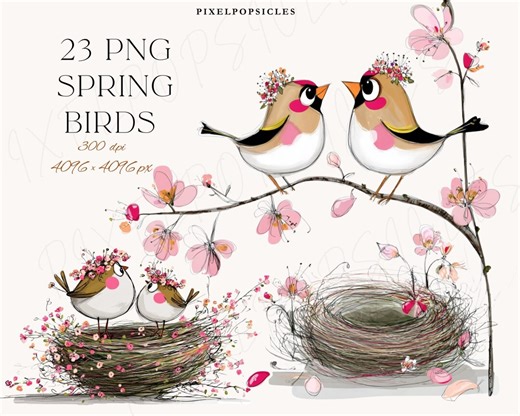 Spring Birds Clipart PNG Set (23 Files) | Watercolor Bird Couples & Nests | Floral Spring Animals - Etsy