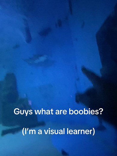 Understanding Boobs for Visual Learners