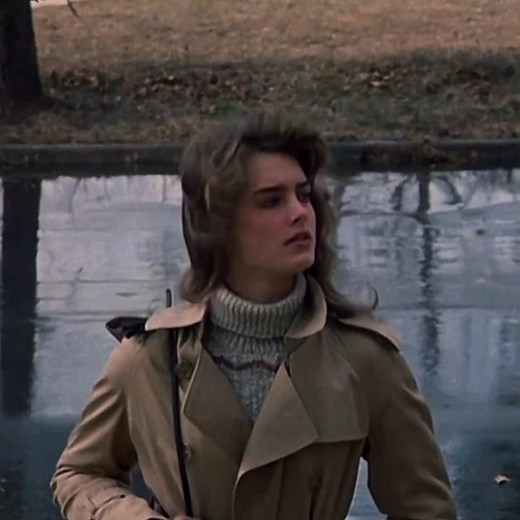 the brown haired girl 🤎 #brookeshields #face #80s #endlesslove #movie #beauty #hair #80svibes #fypシ