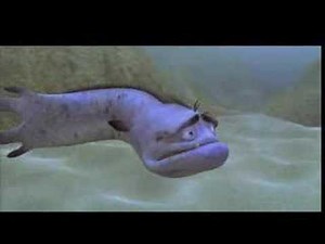 Trailer MOVIDA BAJO EL MAR