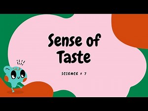 Learning the FIVE SENSES - SENSE OF TASTE | Enjoy Science for Kids