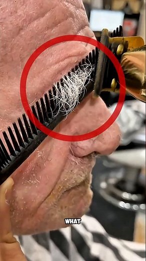 When Eyebrows Start Growing Faster With Age #EyebrowFacts #AgingScience #DidYouKnow