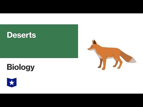 Desert Biome | Biology