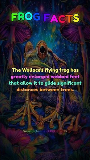 The Wallace's flying frog has greatly enlarged webbed... | Frog Facts