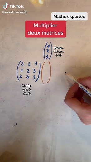Matrices en Mathématiques : Techniques et Exemples
