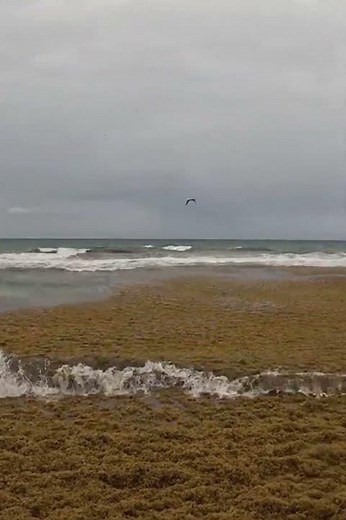 🌀 Clima Extremo en Cancún: Llega Onda Tropical con Lluvias y Vientos #clima #weather #cancun