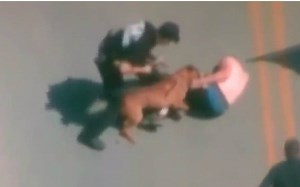 警犬在实际抓捕罪犯时的视频-咬的停不下来啊！
