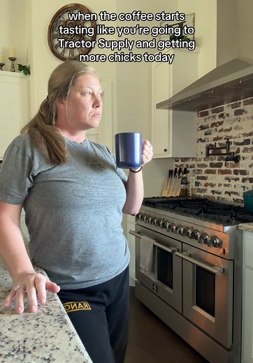 Understanding Chicken Math for Farms and Homesteads