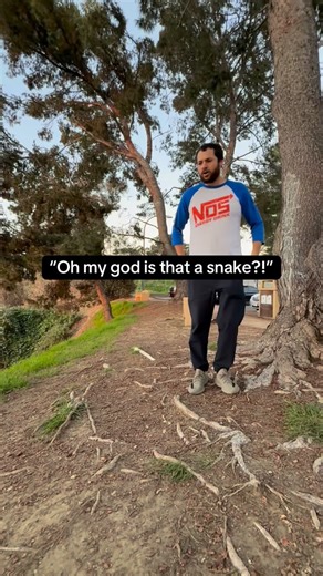 The Scenic Gamer on Instagram: "Couch co-op is BACK!! Go check out Snake.io now on Xbox #thescenicgamer #Snakeio #SnakeioGame #Xbox #ad sponsored @snakeio_game"