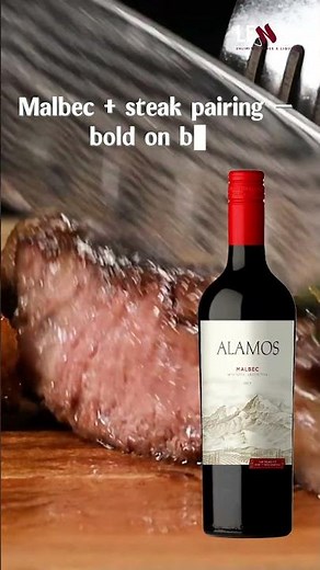 🥩 Malbec + Steak Pairing | Bold Wine Meets Bold Flavor 🍷
