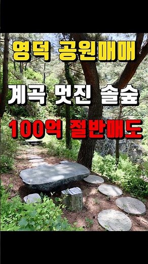 [경북사찰매매]영덕군 달산면/계곡 멋진 공원매매 50억(절 암자)법당 기도터 힐링 명상센터 연수원 수련원 치유센터