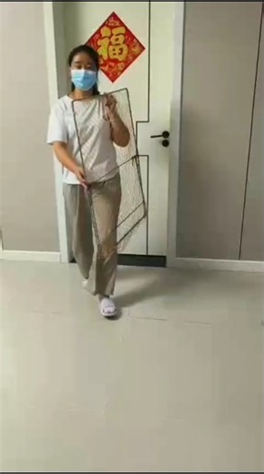 The Most INSANE Birds Catching Prey #food #birdmaster #hunting #animals #catchingpigeon #birdhunting