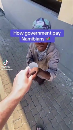 Government Payment Methods for Namibians Explained