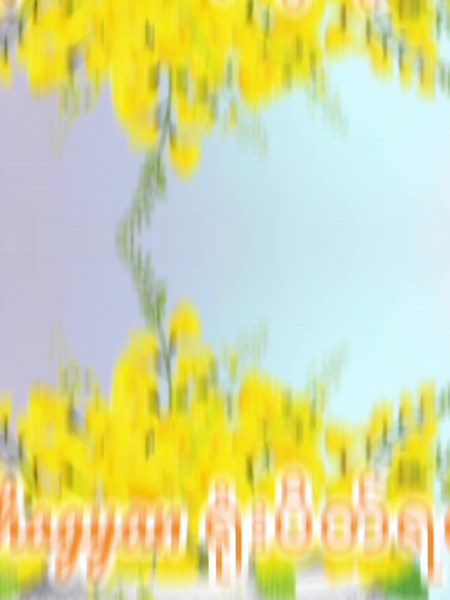 Fastest Auction Household บน TikTok