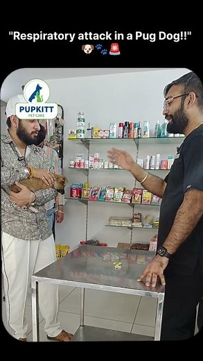 Respiratory attack in a Pug Dog | Dr. Anirudh Mittal | Pupkitt Pet Care