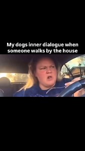 146K views · 19K reactions | It’s always terry walking by. . . All...