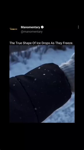 Manomentary | The video reveals something we almost never notice in everyday life—the true shape of ice drops as they freeze in motion. At first glance,... | Instagram