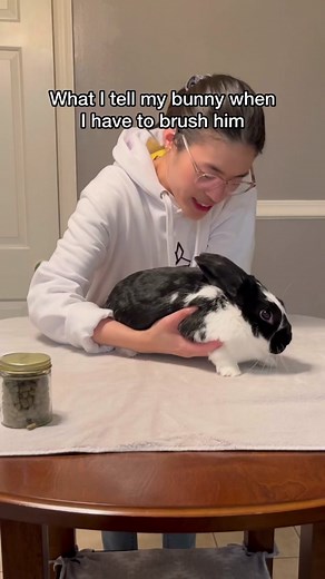 Don’t forget to groom your bunny, especially when they’re shedding! #petsoftiktok #rabbittok #rabbitcare #bunnylover #bunnies