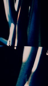 IDEM! Amsterdam 2 shows lets goooooo | Martin Garrix