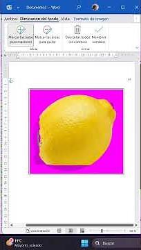Master Word: Remove the background from your images in seconds
