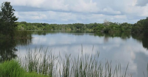 Saddle Creek Fishing