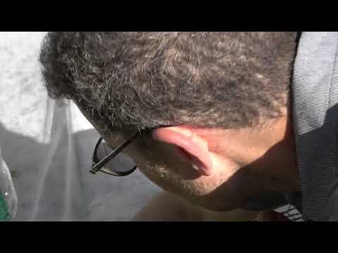 How To Keep Chipmunks From The Garden