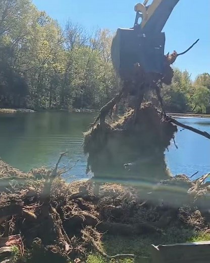 Tree Stump Removal in Concord NC with an Excavator