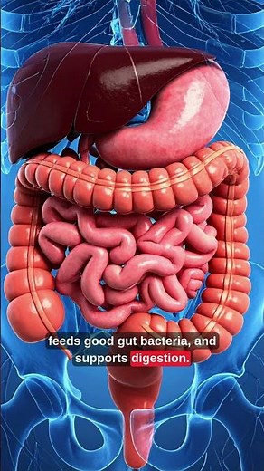 Honey vs Sugar: Which One Is Actually Healthier?