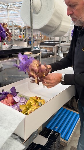 7.4K views · 3.3K reactions | Fantastic @ansuvanda mix box for masterclasses of @gregorlersch next week in Poland at @kwitnace_horyzonty . Follow me to see more beautiful flowers and plants and arrangements from students of coming classes. | Warja Abrosimova | Facebook