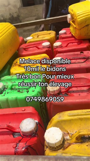 1. Donne de l’énergie aux animaux La mélasse est riche en sucres. Elle donne donc beaucoup d’énergie aux animaux pour grandir, produire du lait ou prendre du poids. 2. Améliore le goût de l’aliment La mélasse est sucrée, donc les animaux aiment bien. Elle donne envie de manger, surtout quand on mélange avec le son de riz, son de blé ou les fourrages secs. 3. Réduit la poussière dans l’aliment Quand on mélange la mélasse avec des aliments secs (comme le son), elle colle la poussière. Cela évite q