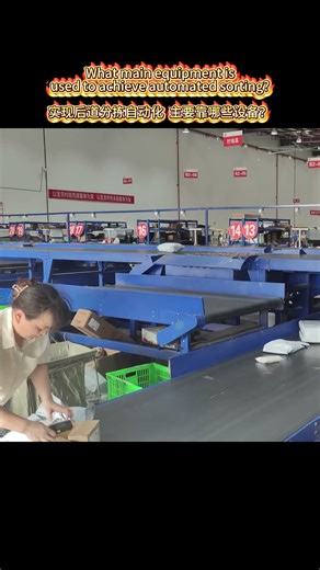 Automatic Sorting Machine in post-process？