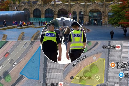 Police set out legal conditions ahead of Raise the Colours protest & counter-protest