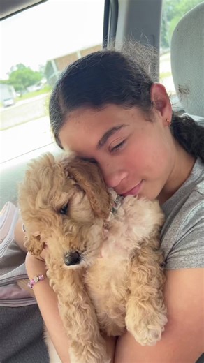 La encantadora casita y su mágico entorno