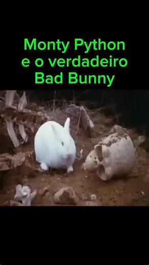 Monty Python Brasil | "Bunny" é coelhinho em inglês... #montypythonbrasil #badbunny #montypython | Instagram