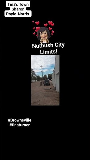 'NUTBUSH CITY LIMITS in Nutbush, Tennessee' by Sharon Doyle-Norris