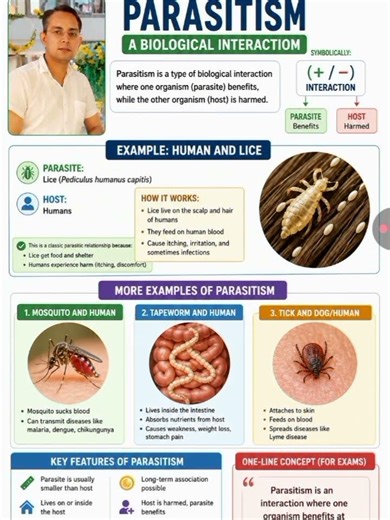 Parasite vs Host Explained Simply 🧠 | Lice Example #shorts #neet