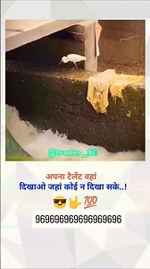 apna talent vahan dikhao Jahan Koi nahin dikha sake #trending #viral #motivation #shortsfeed