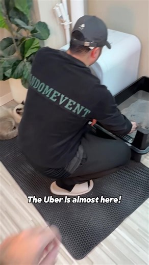 Maximize Your Time with the Furby Sifting Litter Box