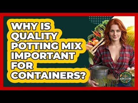 Why Is Quality Potting Mix Important For Containers?